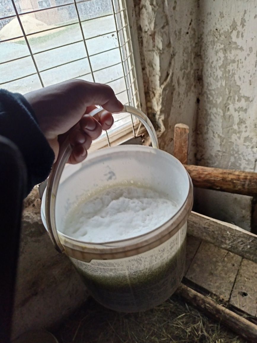 MLEKO KOZIE świeże SERY ekologiczne naturalne produkty od kóz kozy
