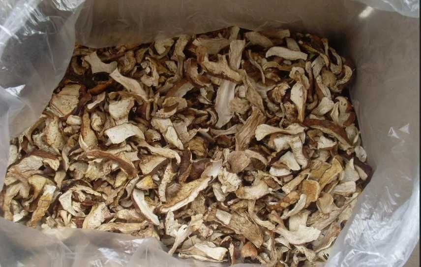 Белые сушёные грибы білі гриби мариновані та сушені закарпатські!