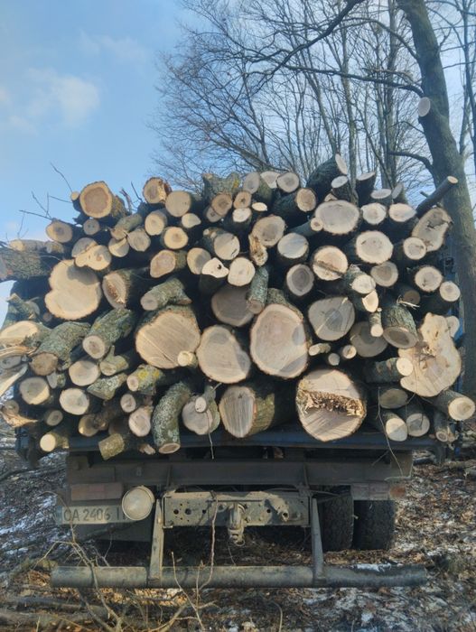 Продам дрова твёрдых/мешаных пород (рубаные,чурки, метровки,)