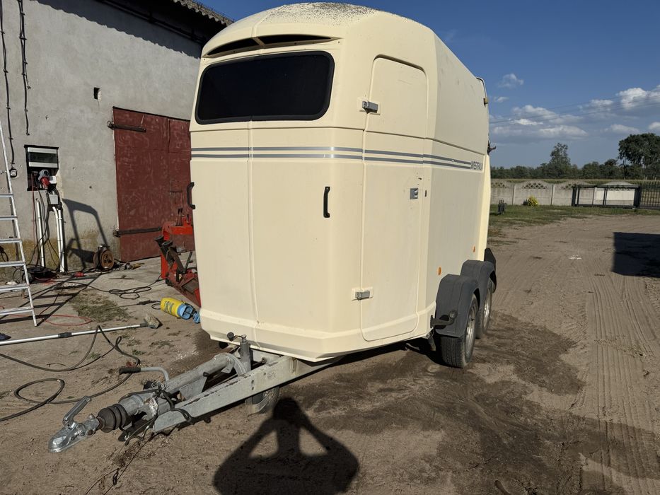 Przyczepa na konie Westfalia