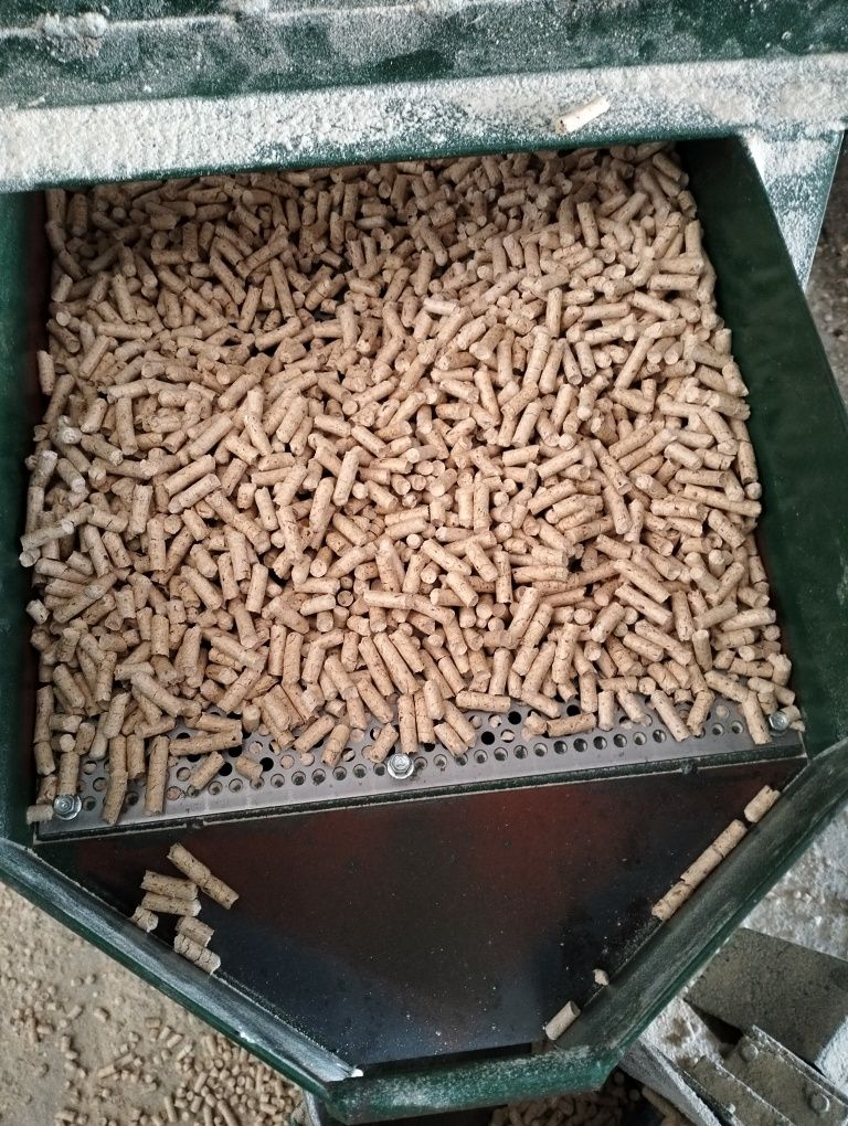 Pellet drzewny producent