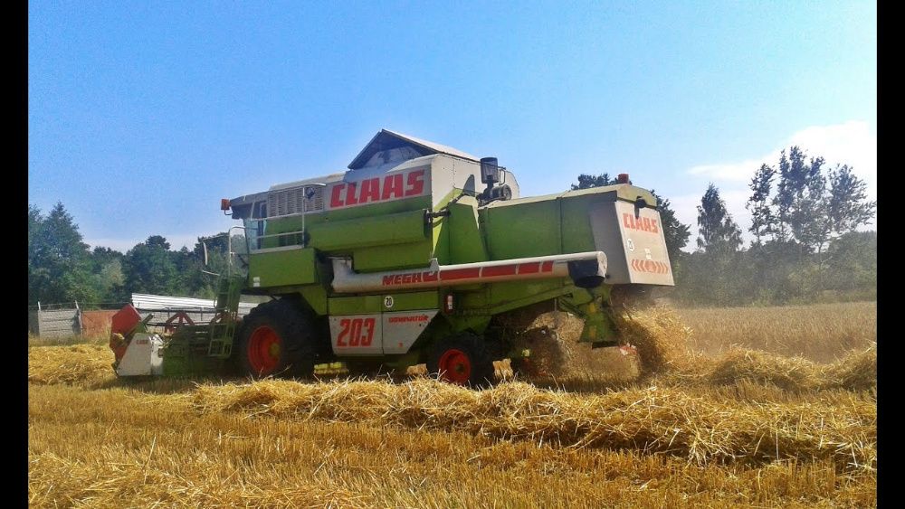 USŁUGI Rolnicze  Koszenie Zbóż   Rzepaku  Kukurydzy Polecam !!! SKUP