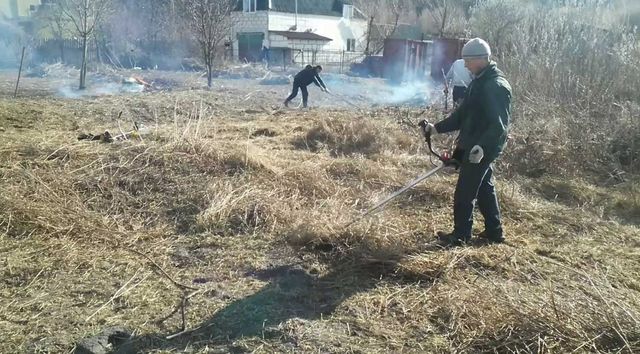 Благоустройство Расчистка участка Уборка зарослей Спиливание деревьев