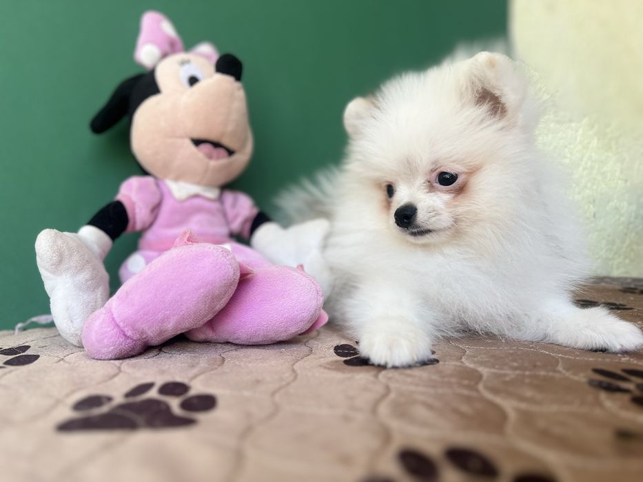 Дівчика міні патік