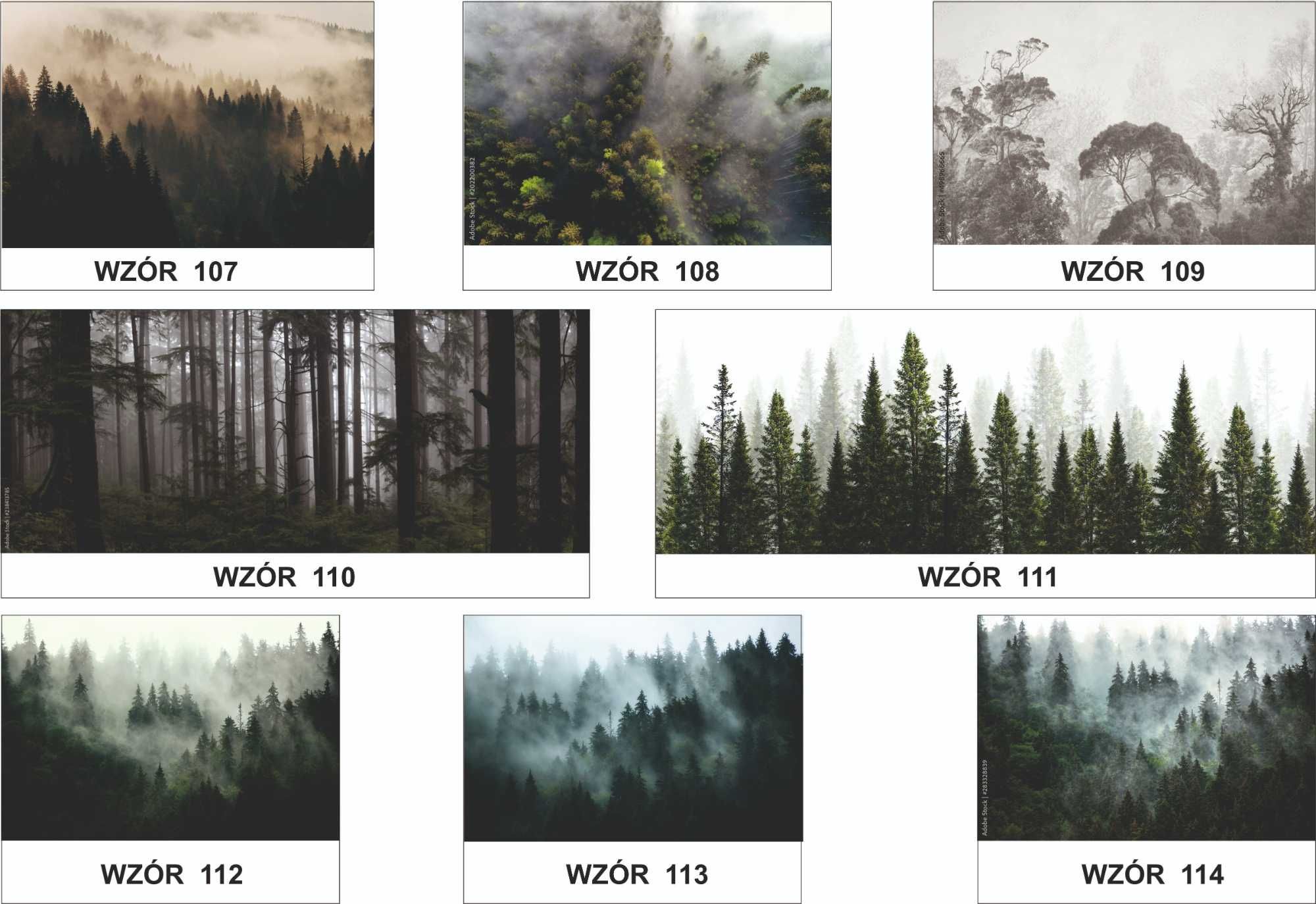 lasy trawy, góry kaszmir, spokojne fototapety na wymiar