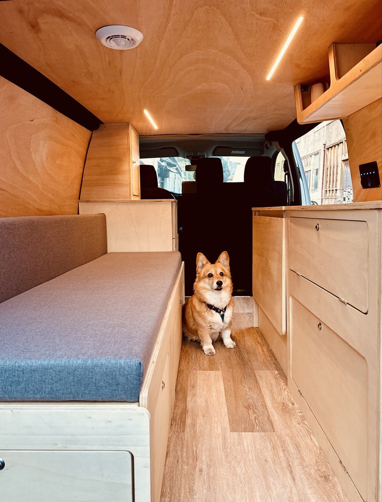 CAMPERVAN [POR ESTREAR]