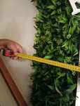 Espelho com moldura em jardim vertical painel 1.00x2.00 metros