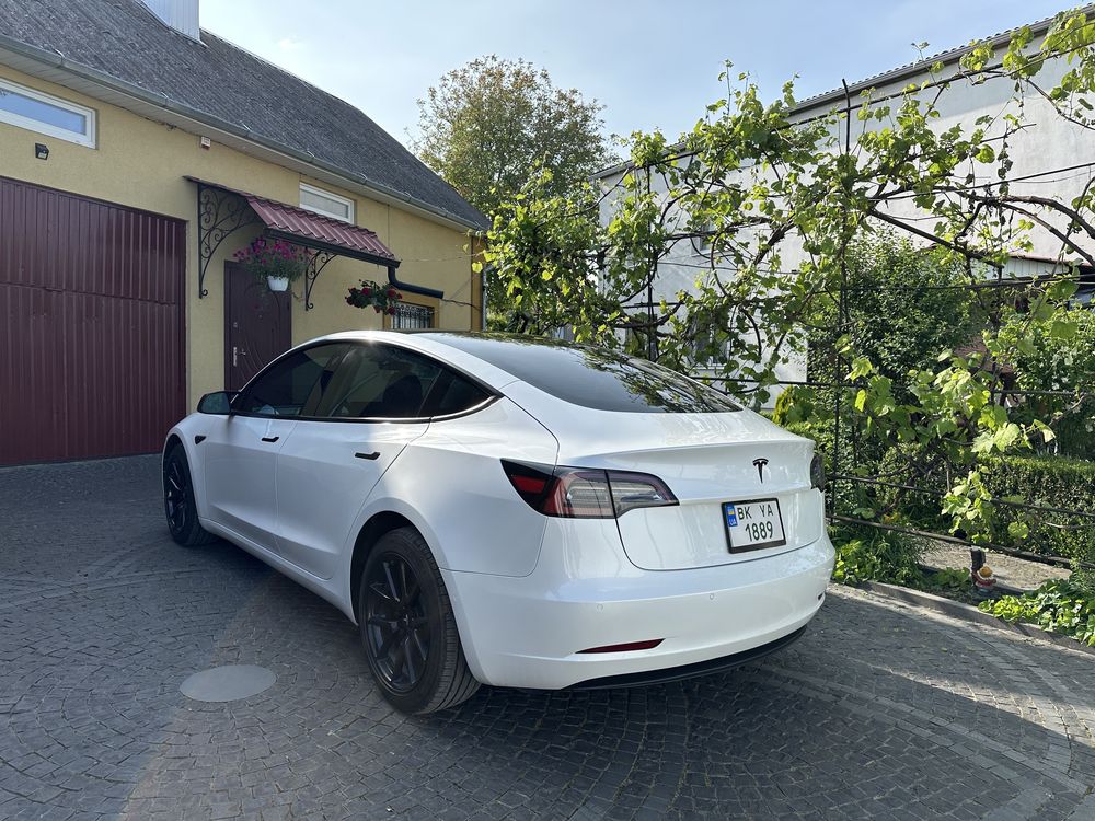 Tesla Model 3 600км 2021р. Dual Motor
