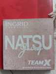 Paleta Natsu Team X