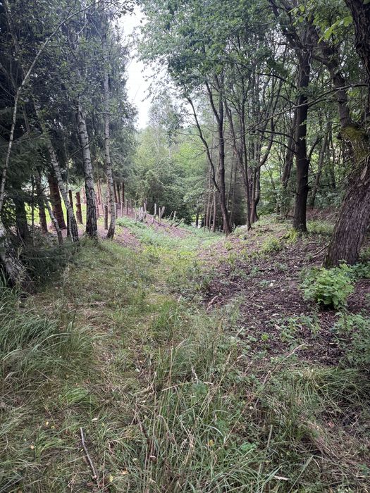 Dzialka Strzyżów Brzeżanka