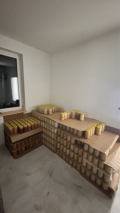 Miód spod lasu - naturalny