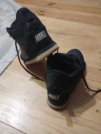 Демісезонні  кросівки Nike