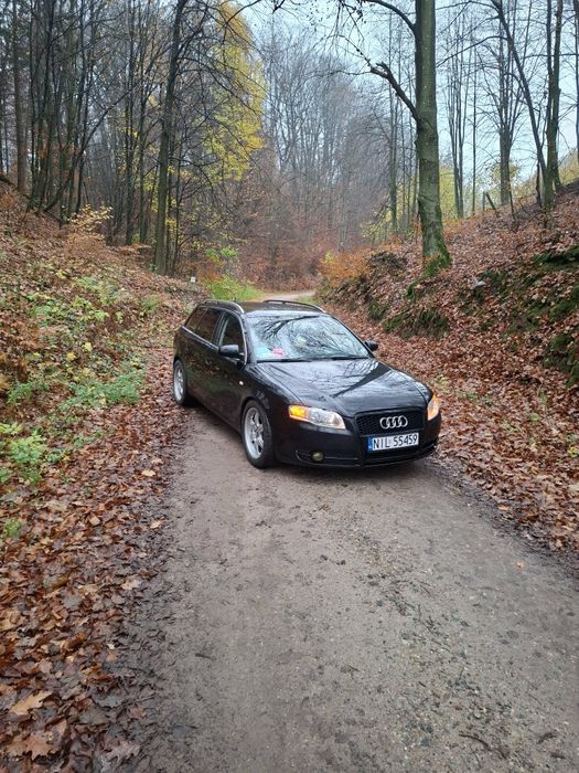 Audi A4 b7 2.0 TDI 200km