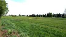 Działka budowlana | 1494 m2 | Orzesze - Zgoń | ul. Świerkowa