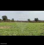 Terreno  para venda