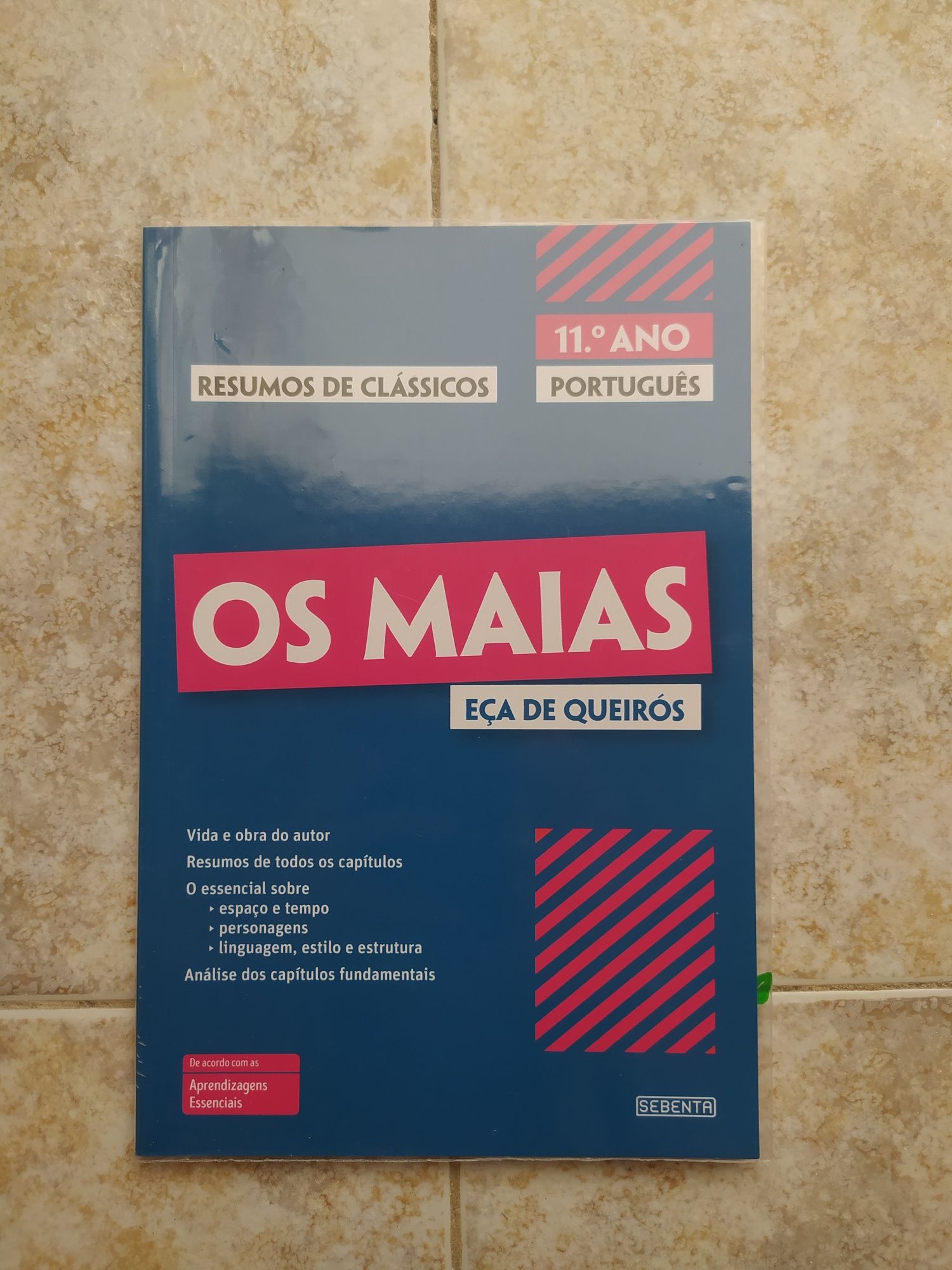 Livro "Resumos de Clássicos - Os Maias"