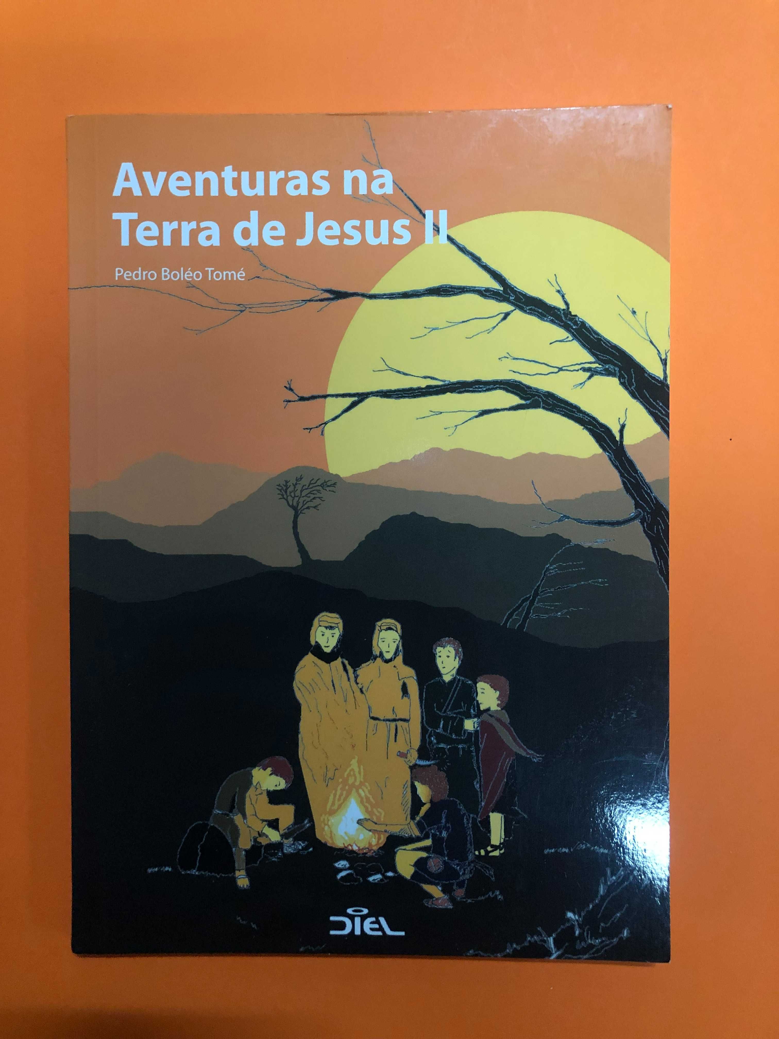 Aventuras na terra de Jesus II - Pedro Boléo Tomé