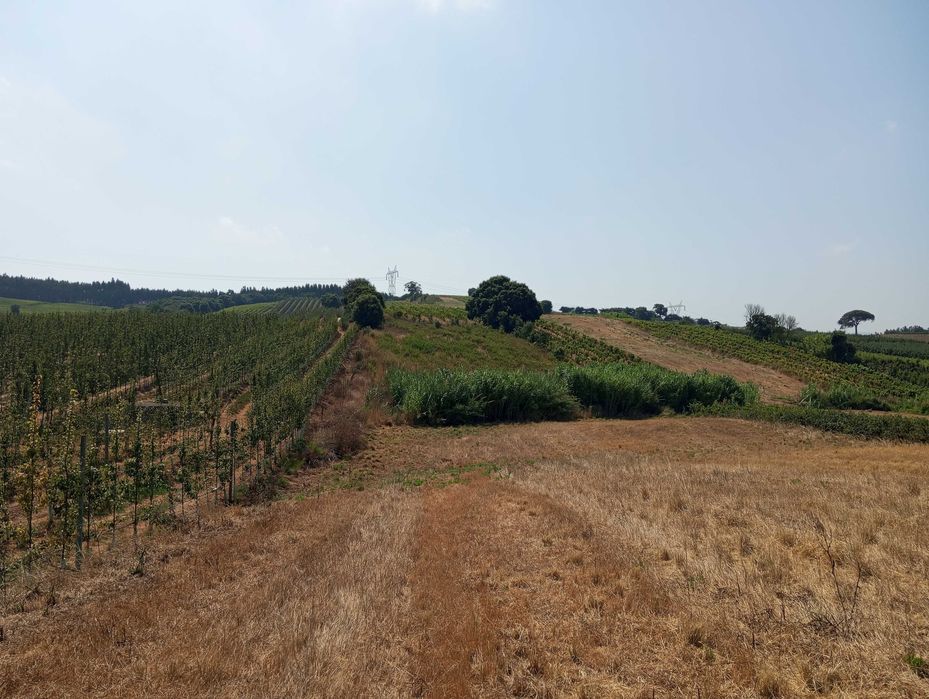 Terreno agrícola