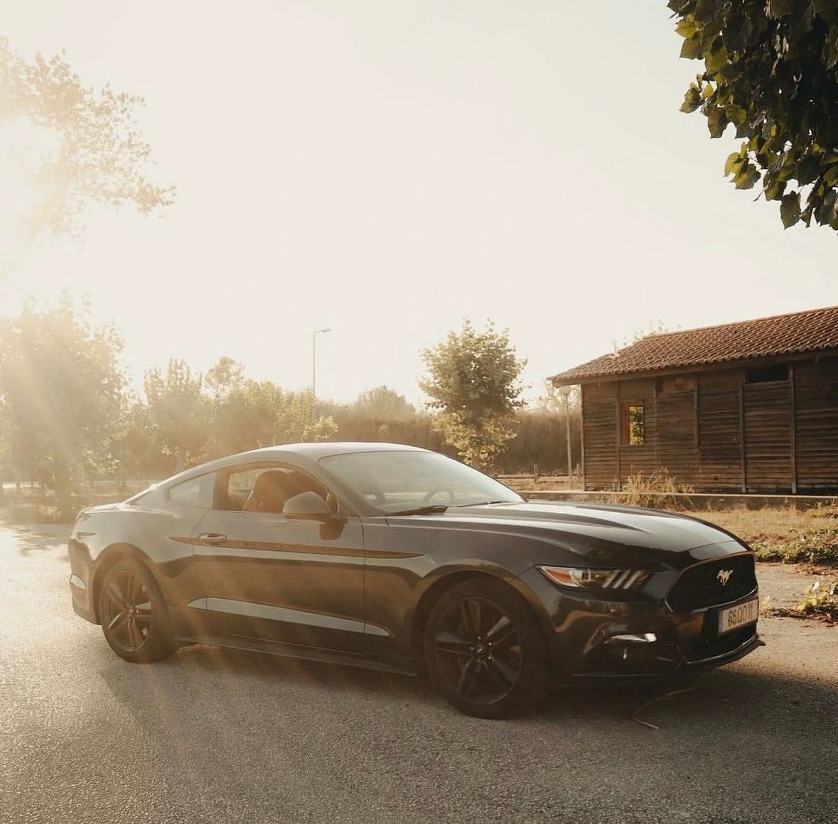 Aluguer de Mustang 2.3