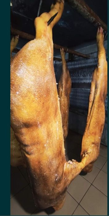 Свинні туші ТА Напітуші за супер ціною