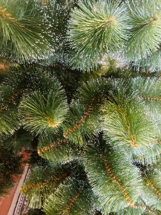 Продам ялинку 2.30 м висоти