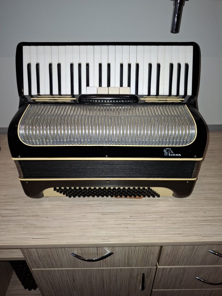Akordeon Ligna 120 bas