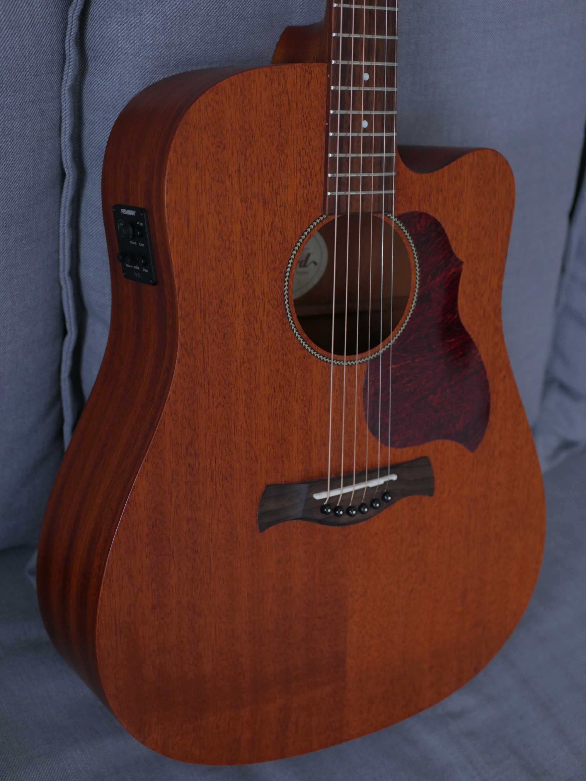 Richwood D-50-CE - gitara akustyczna