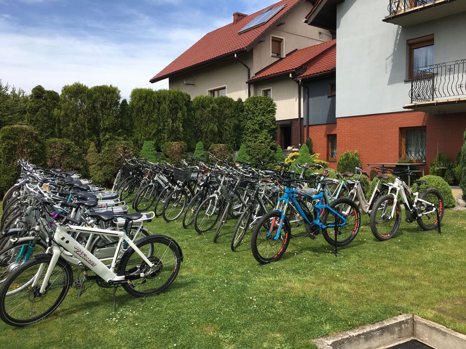 Rower elektryczny Batavus Holenderski