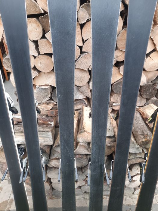 Лижі гірські 160..164см