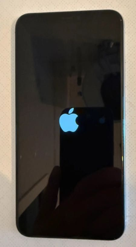 iPhone 11 Pro Max - 256GB - Excelente Estado