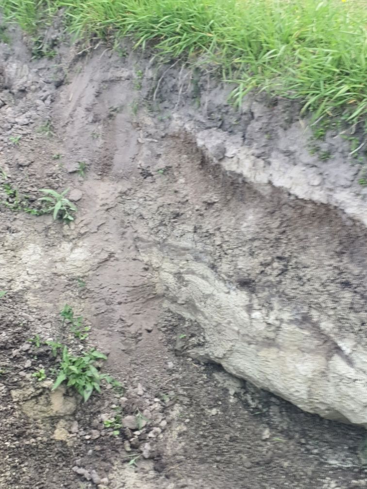 Oddam ziemię w zamian za wykopanie