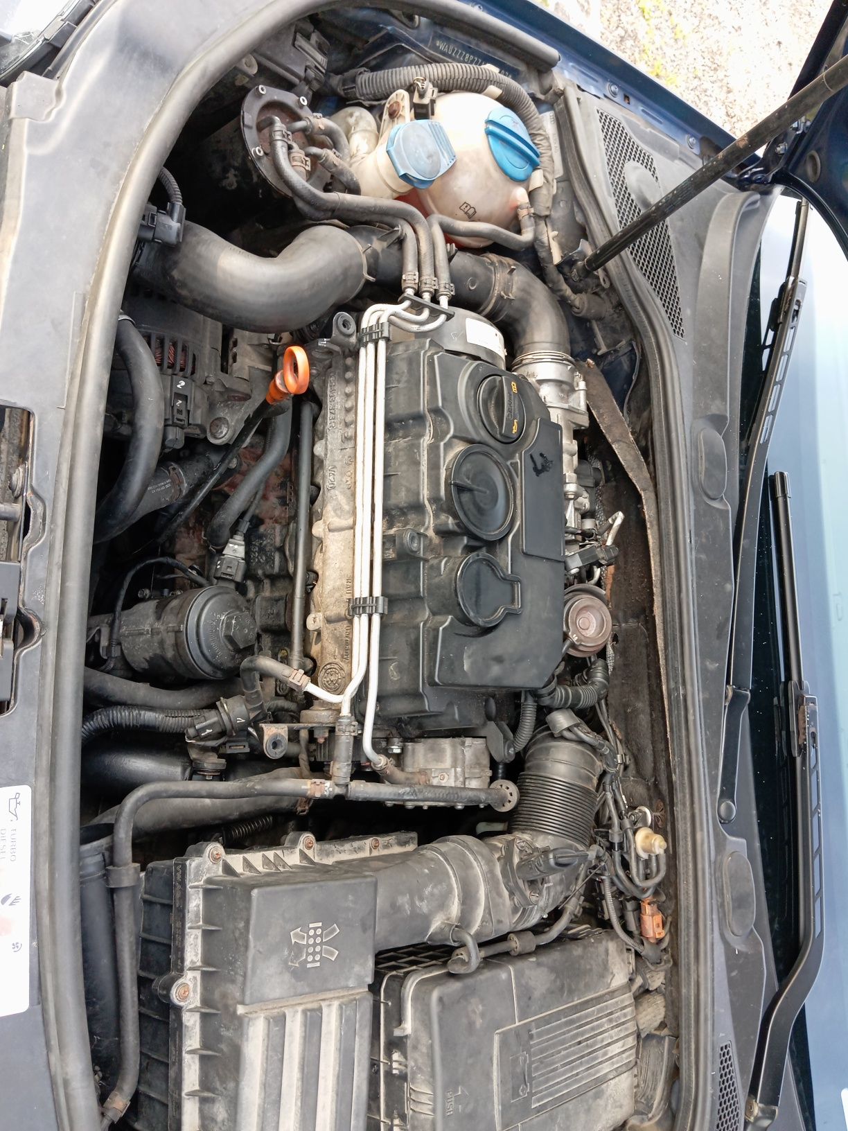 Audi A3 8p 2.0Tdi