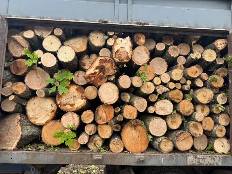 Дрова гуртом та роздріб