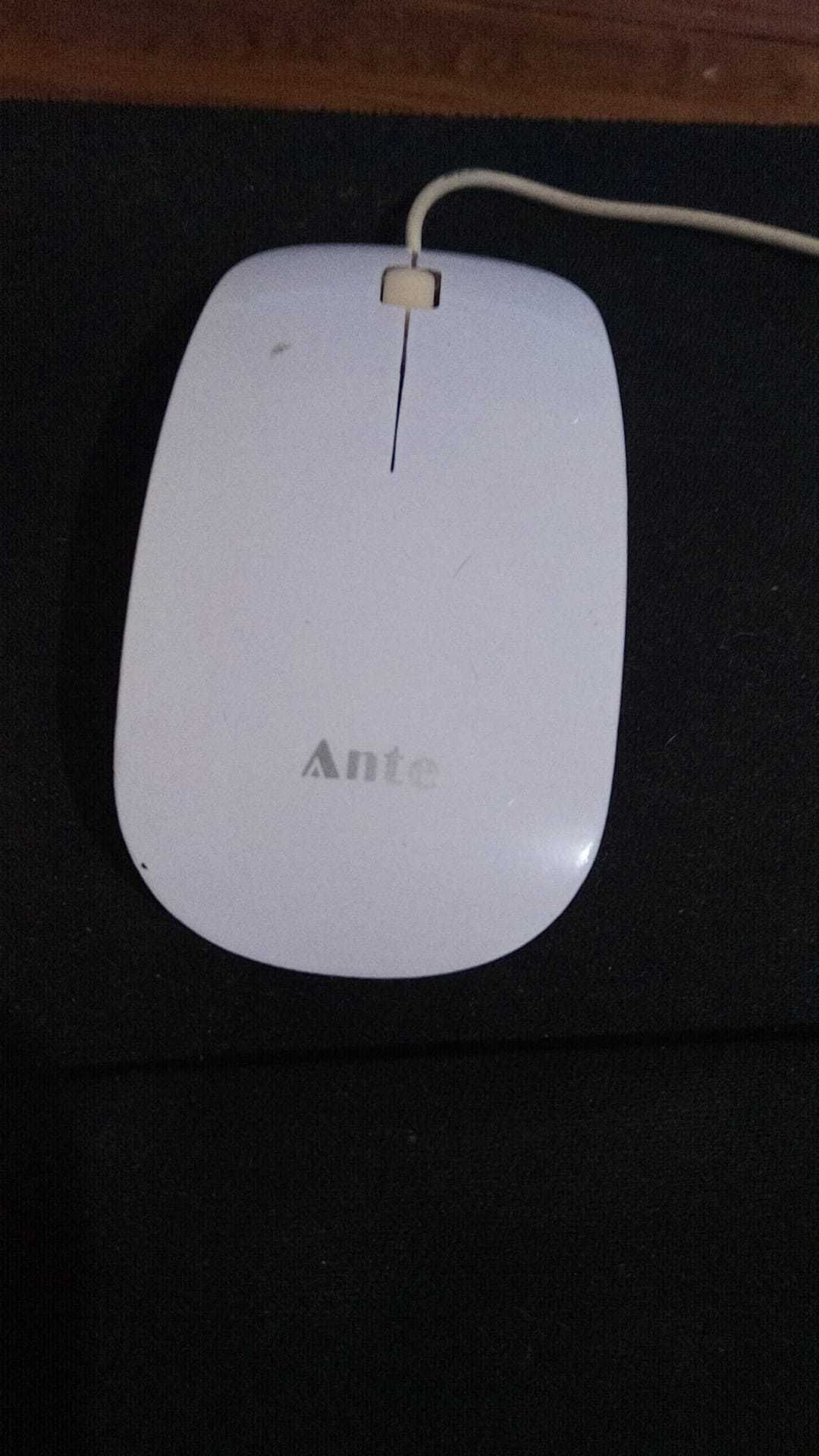 Rato USB branco 1.4m de cabo.