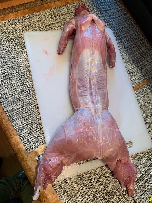 Продам кролів від 1,5 місяців