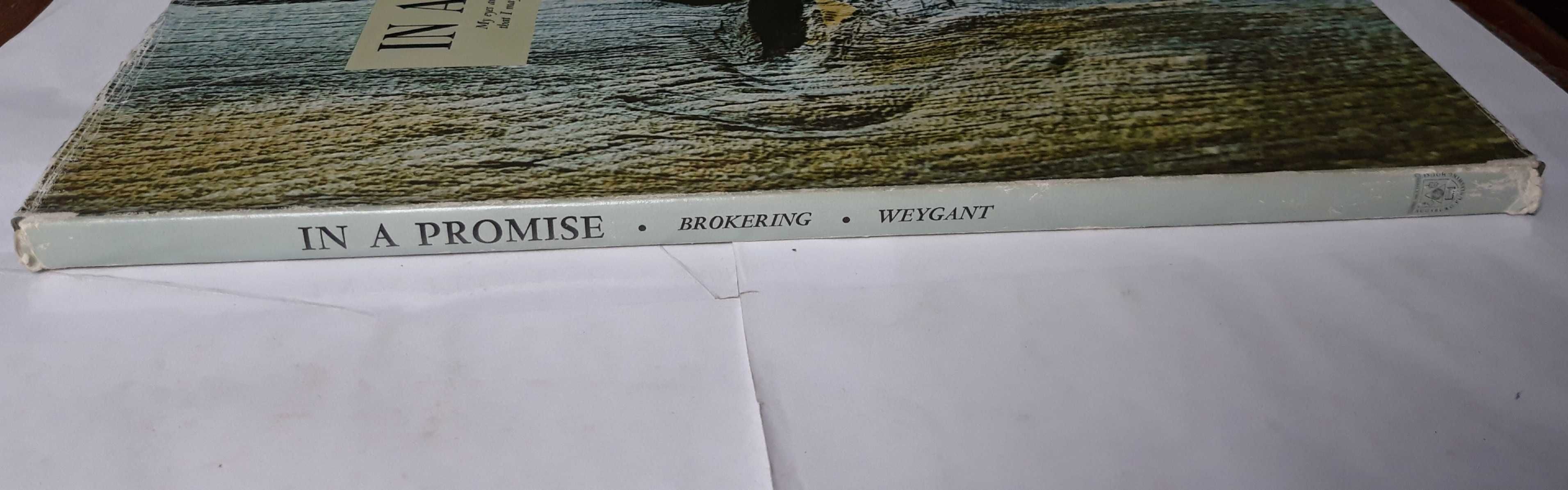 Livro- Ref CxC - Herbert F. Brokering - In a Promise