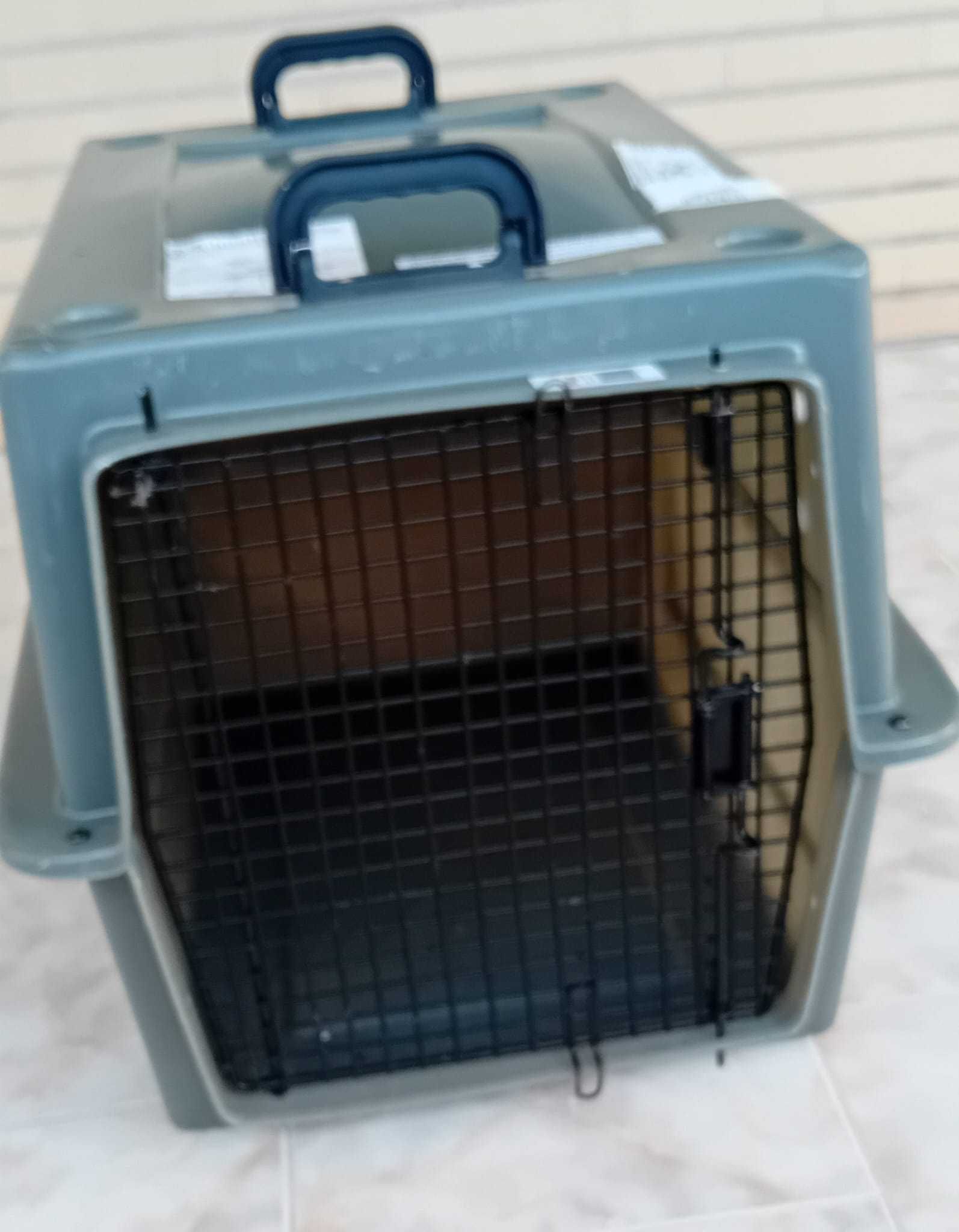 Caixa Transportadora de Animais com Alça e Trava de Porta padrão IATA