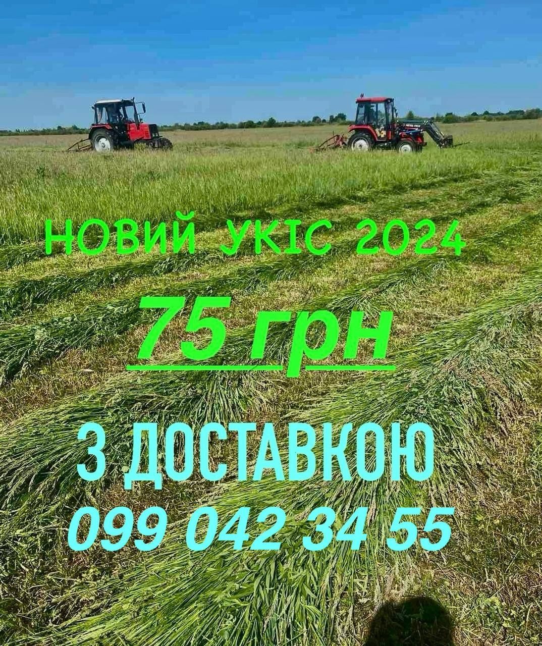 Сено (Сіно) в тюках від ВИРОБНИКА! Київ та Київська обл