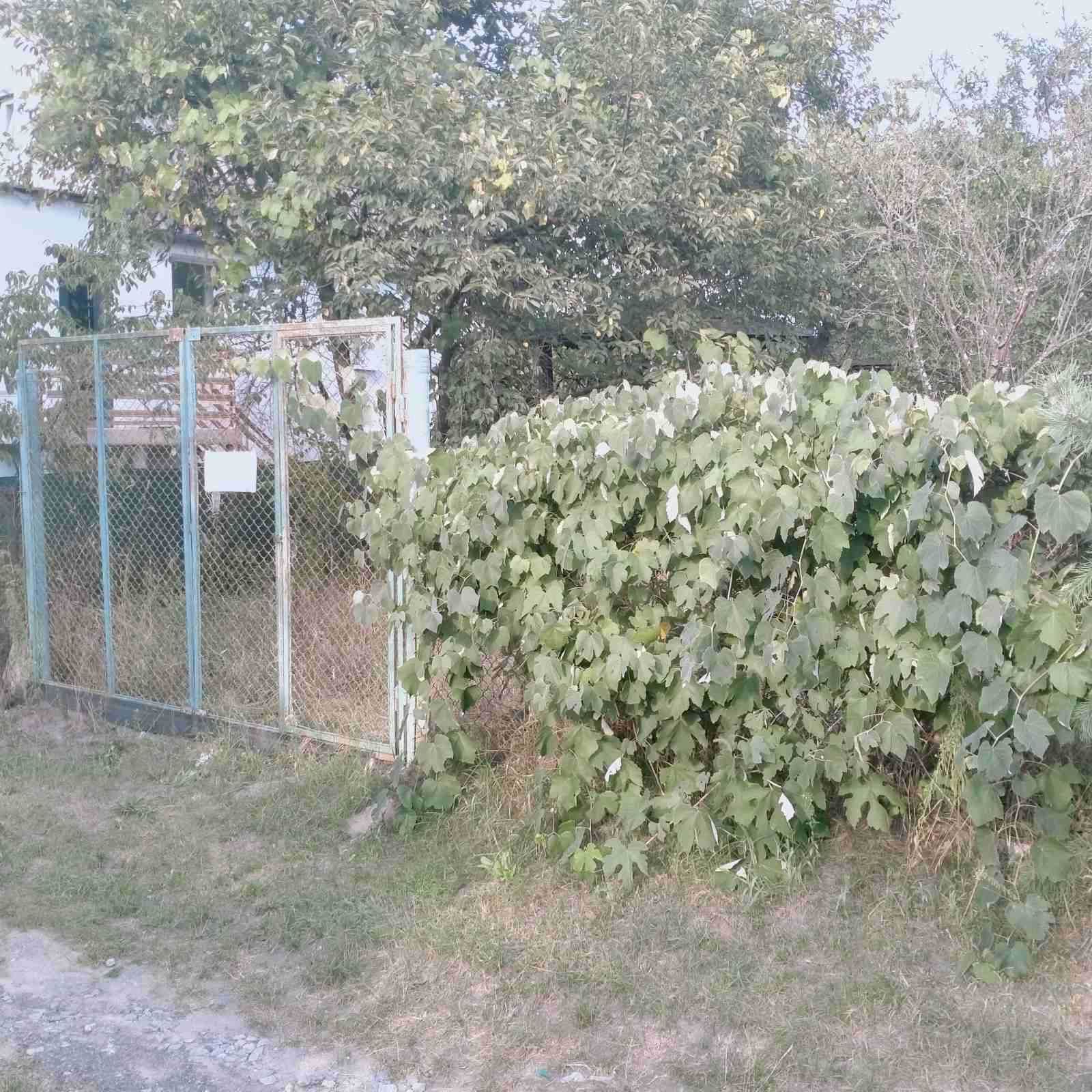 Дача в Кам'янському масиві.