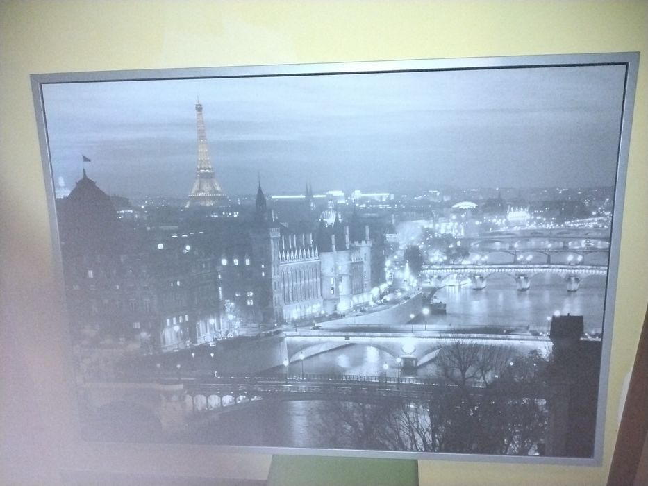Quadro da cidade de Paris