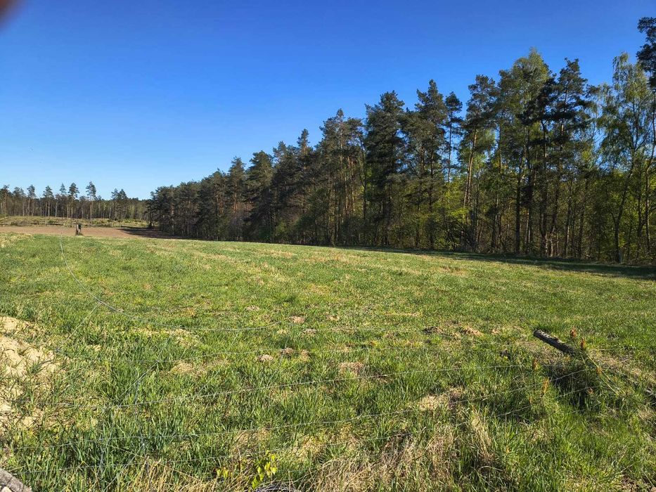 Działki siedliskowe Pękanino k.Malechowa