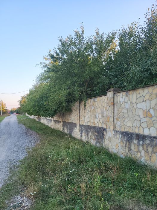 10 Соток Байківці ділянка
