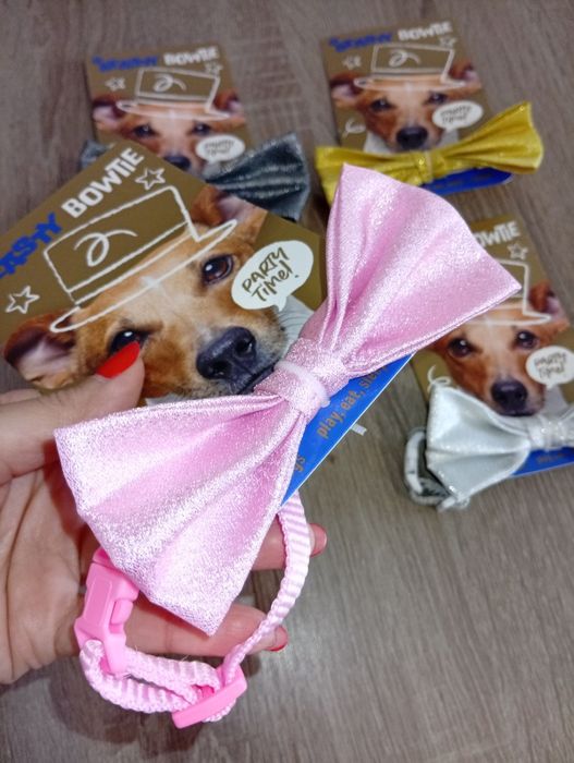 Mucha z obrożą dla psa / kokardka dla psa + obroża