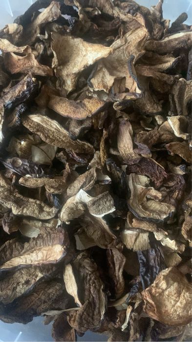 Suszone podgrzybki 100g