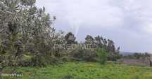 Terreno com contentor