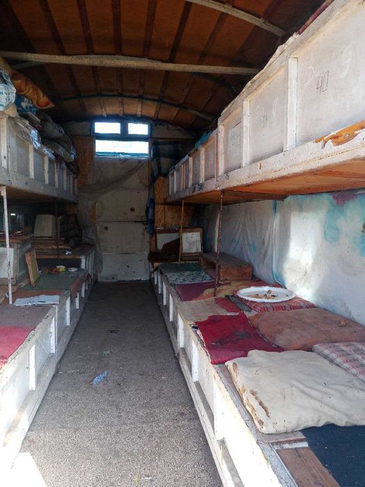 Пчелопавильон 40 пчелосемей