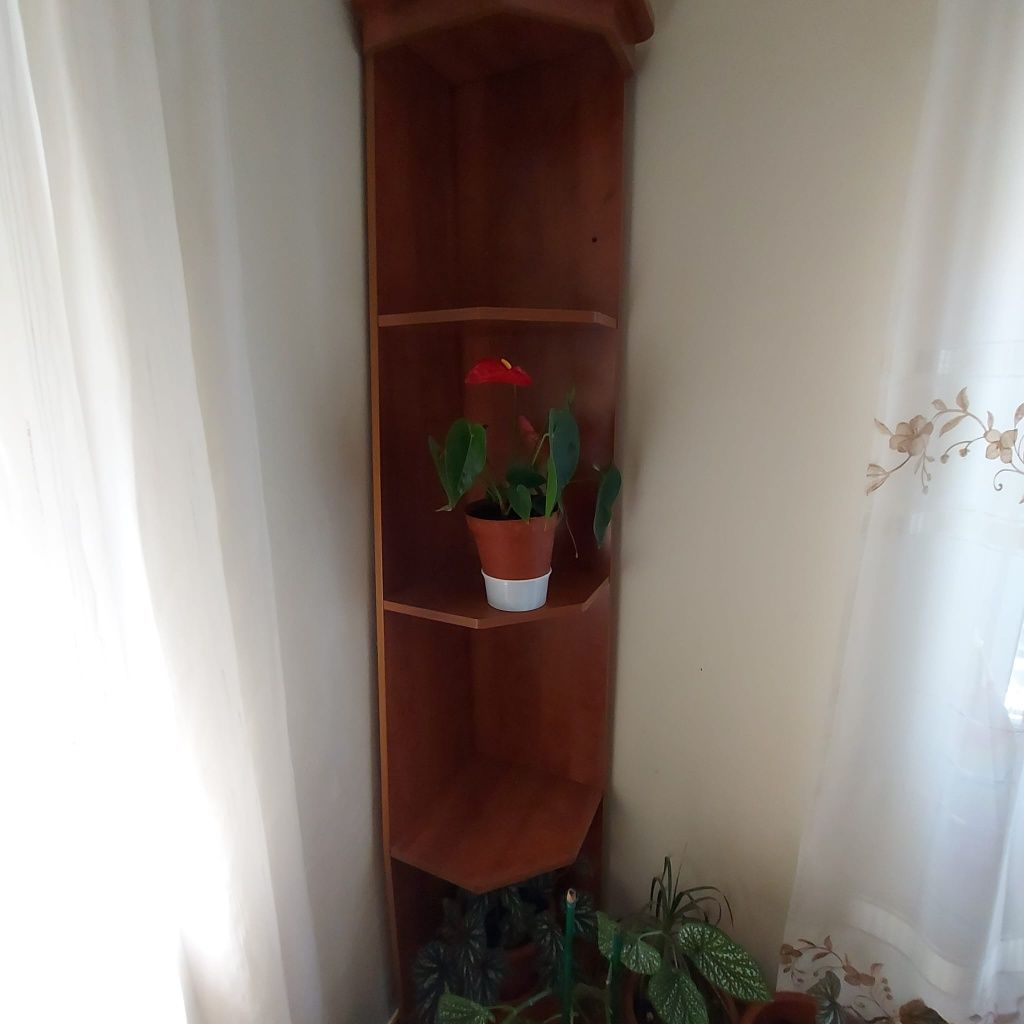 Mobília sala completa com mesa e cadeiras - urgente!