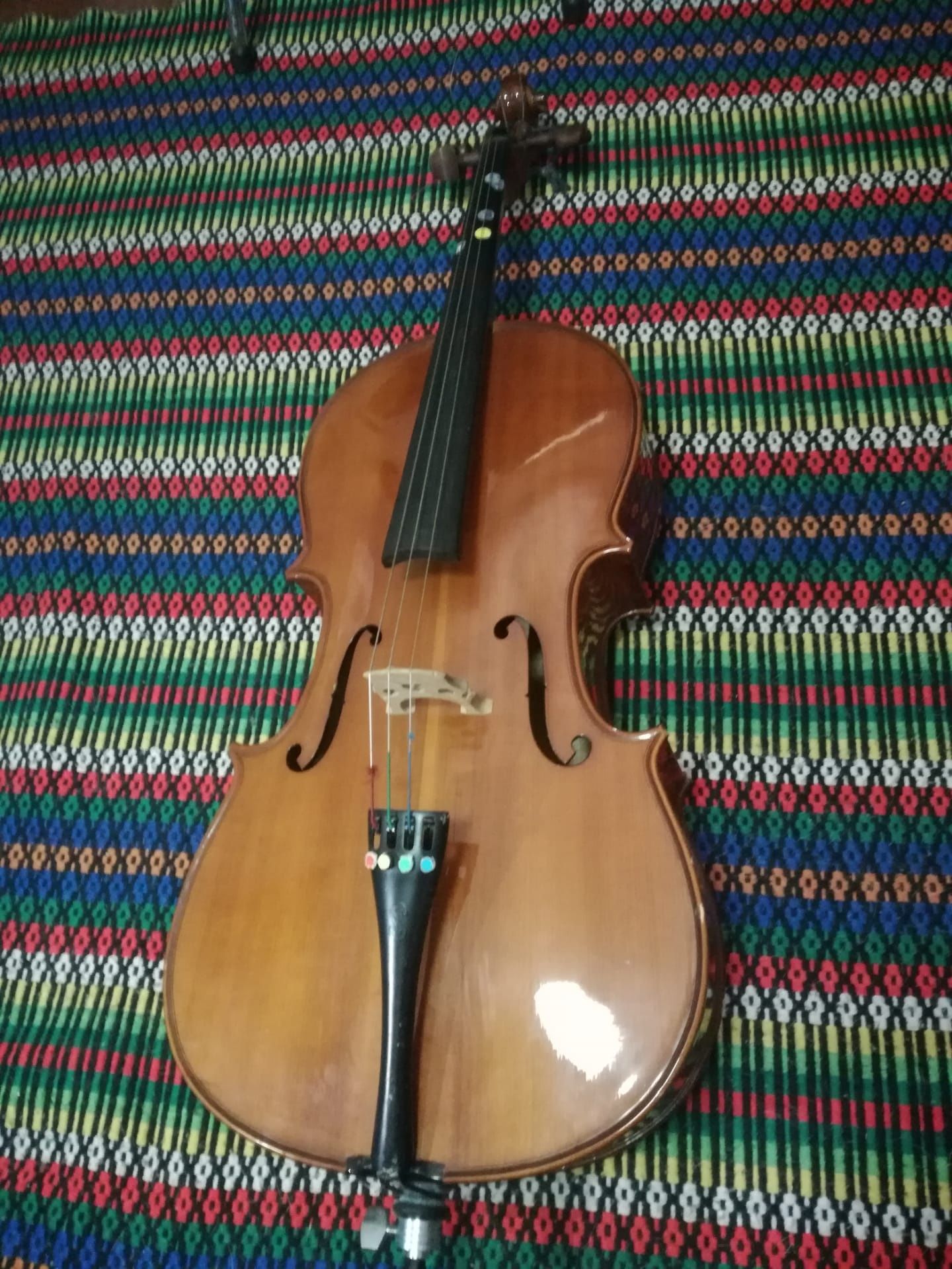 Violoncelo stentor