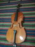 Violoncelo stentor