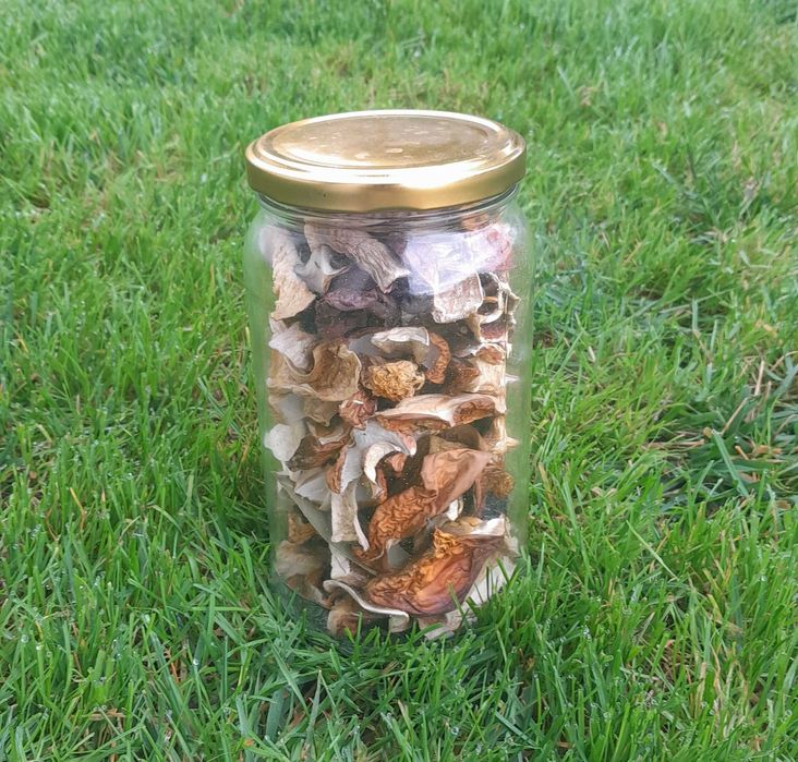 grzyby suszone prawdziwki borowiki 2025